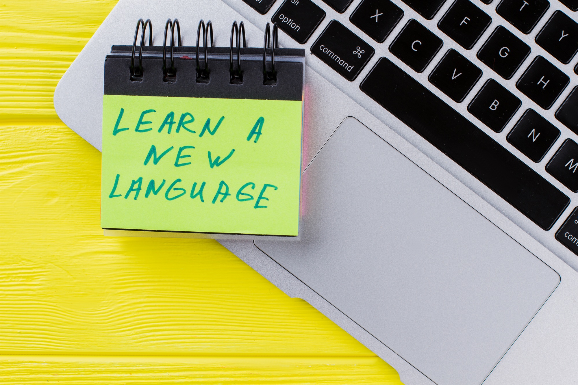 Learn a new language concept.